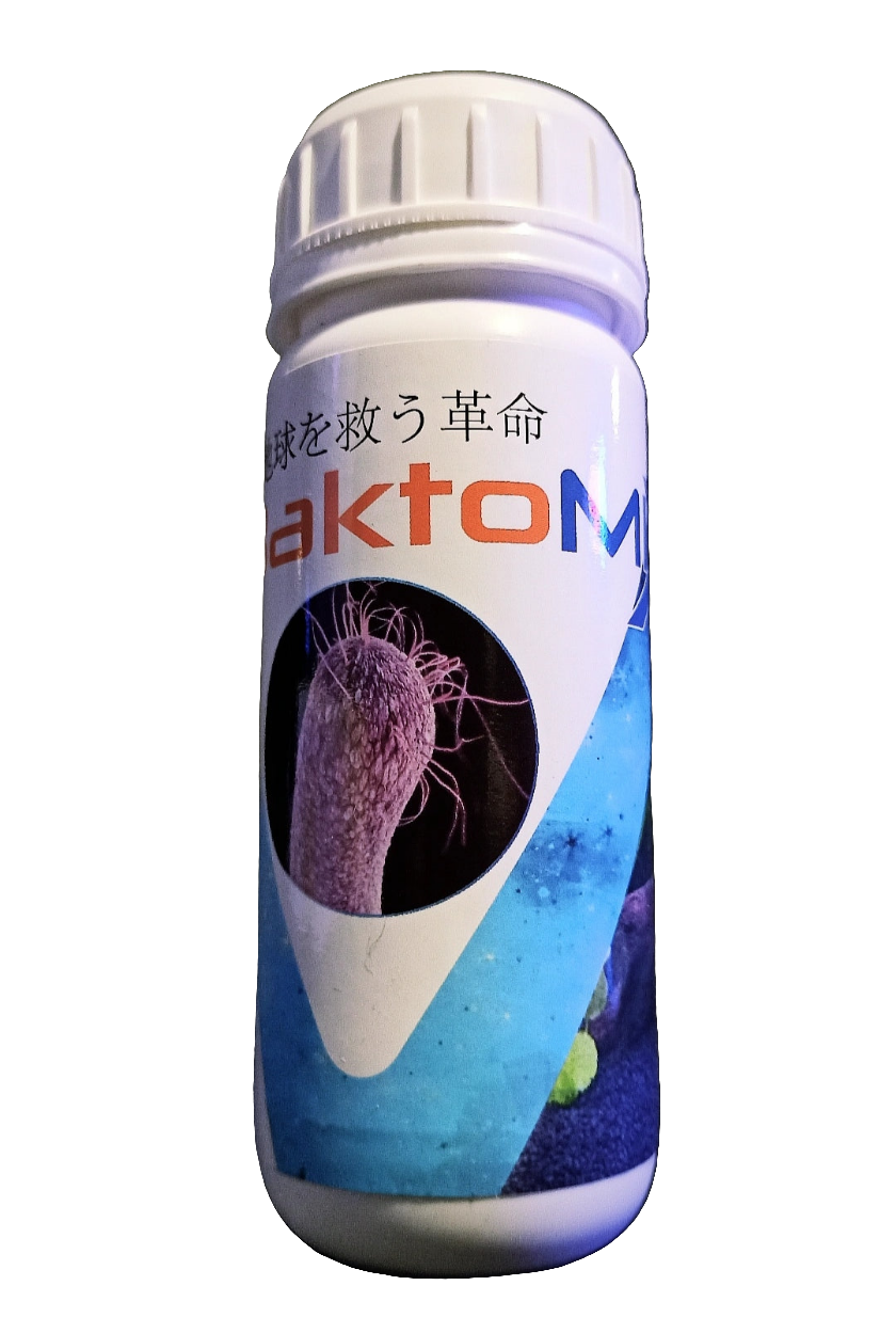 A - Bakto Hamburg Köşe Filtre 150 Litre 100 ml Baktomix hediyeli 1000 TL ve üzeri alışverişlerde kargo ücretsizdir