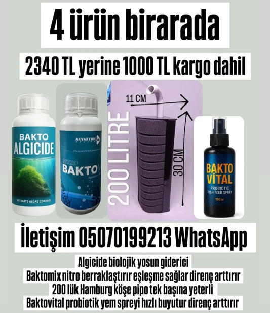 4 lü set kargo dahil