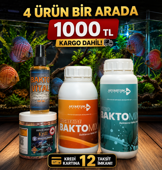 4 lü biyolojik set