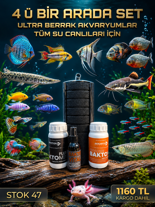 4lü Hamburg set max200 litre kargo dahil